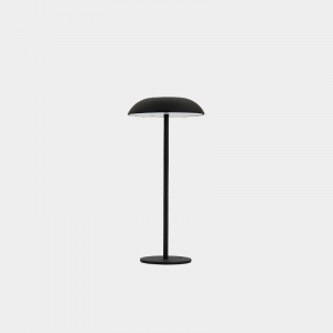 Enton LED Portable Table Light #ETI0248 gallery view 1 for wholesale LED lighting projects